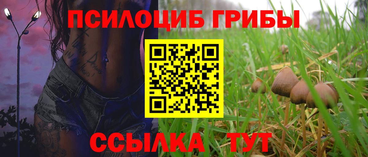 дарнет шоп  Галлюциногенные грибы Cubensis  Феодосия  Вход с VPN  Псилоцибиновые грибы мицелий 